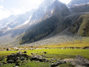 IMG_4344In Sonmarg Valley , Kashmir , India _ a pathway inside the valley by JIten Kardam